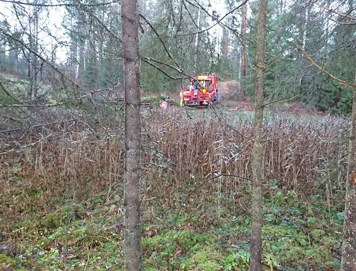 Bärgning pågår i skogsparti