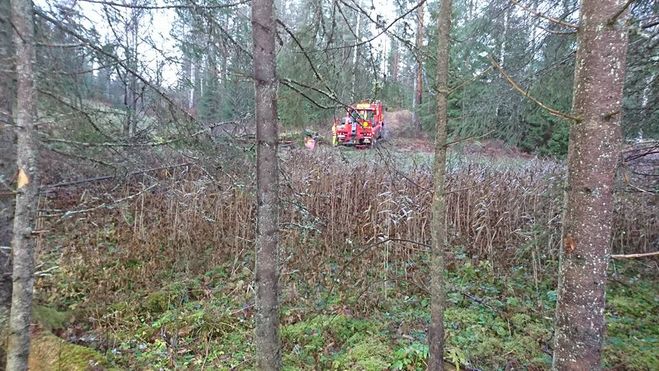 terrängbil i skog